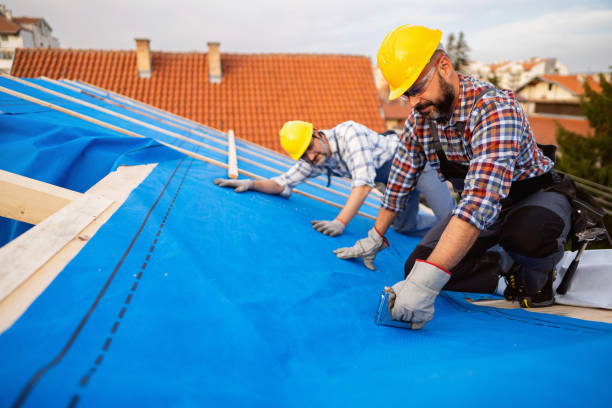 Quick and Trustworthy Emergency Roof Repair Services in Edina, MN